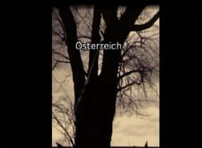 5 Filme gegen Schwarz-Blau : Schaukel