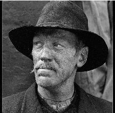 Uppehall i myrlandet