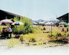 Ce vieux rêve qui bouge