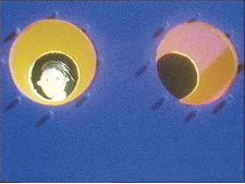Moon Crossing