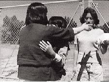 Umeboshi (Pickled Plums)