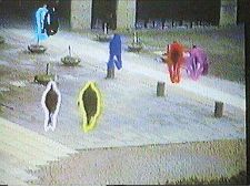 Rumour of True Things