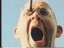 Same Dog... Whitewashed