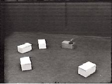 Boxed in