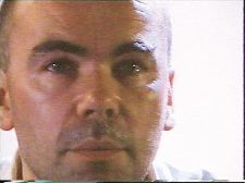 Animal in the Mirror