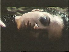 Elephants Never Forget