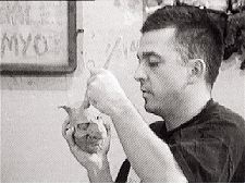 Fou, complètement fou...