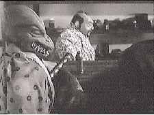 Return of the Sun Devil