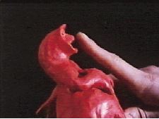 Jean-Pierre a le bourdon