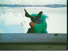 Olamo hakasum shel dud hashemesh