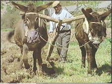 Terre du vieil homme