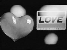All You  Need Is Love