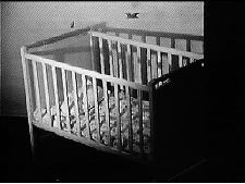 Vida : The Strength Within