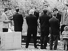 Pallbearers