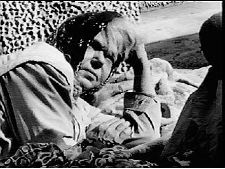 Memories of a Bag Lady