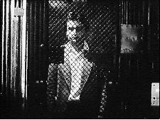 Too Marvellous for Words