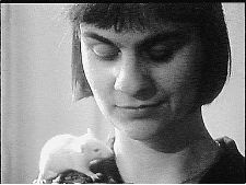 In der Nacht am Vormittag