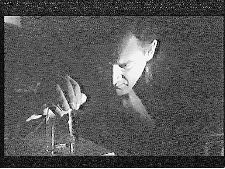 Hotel Morgana - Zimmer 34