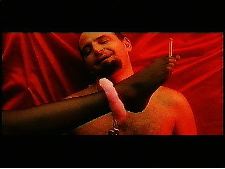 Amplessi e complessi