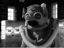 Mascotte
