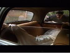 Mécanique des plumes