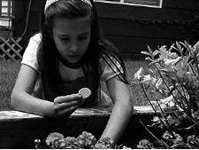 In the Garden