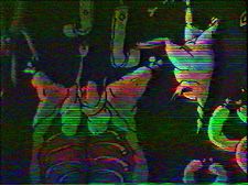 Vegetarianskaia pastoral