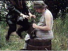 Mach' dich zur Schnecke!