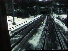 Du vent pour les vaches