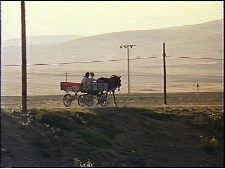 Toprak