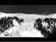 Ode to Avalanche
