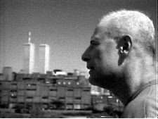 A Pigeon Flying Related Accident