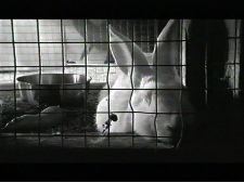 Jesus and the Rabbit of Damnation