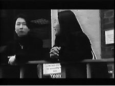 Chien qui est venu dans la lumière de ma lampe de poche