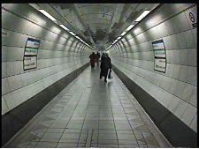 Tical und das Donnergrund