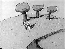 Exciting Life of a Tree