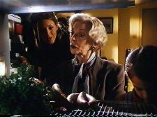 Icebergs - The Secret Life of a Refrigerator