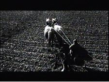 Polders, les noces de la terre de l'eau et du ciel