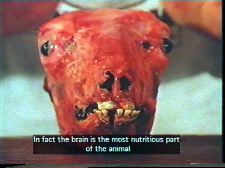 Testarella: Racconto di due teste