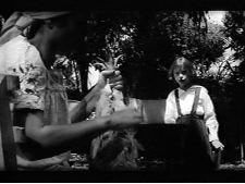 Clandestina felicidade