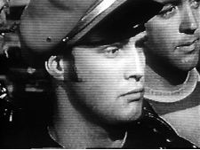 Where Lies the Homo?