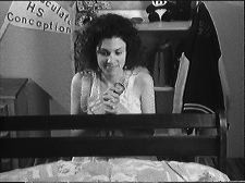 A Cinnamon Roll Story