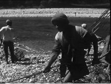 In the Forest Hangs a Bridge