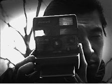 Pictures in the Park