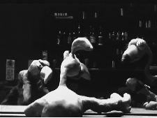 Friß Vogel oder stirb!