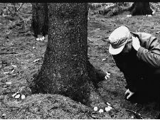 Irrtümer - Fluchtversuch