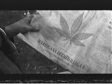 Locoweed &  Other Discoveries