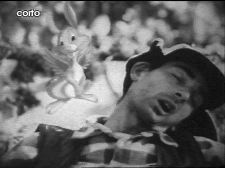 Battuta di caccia in alto Mugello