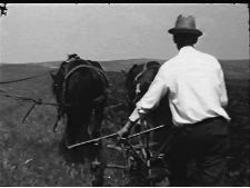 Palatca, Frühling 1997