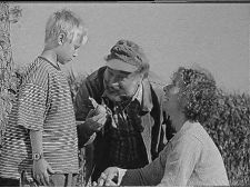 Stammt der Apfel weit vom Fall?